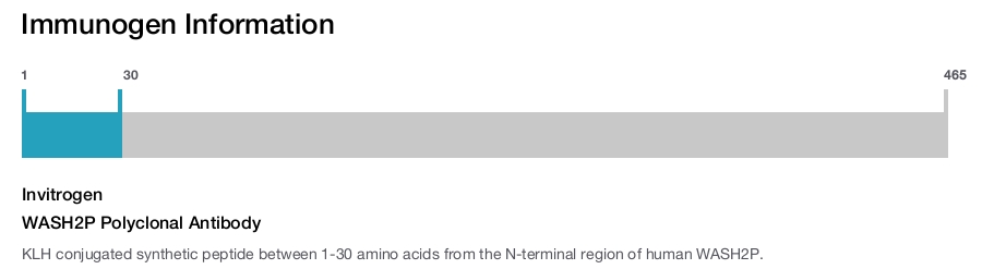 WASH2P Polyclonal Antibody
