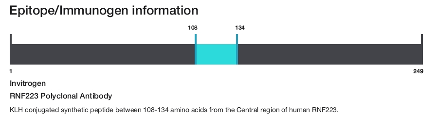 RNF223 Polyclonal Antibody