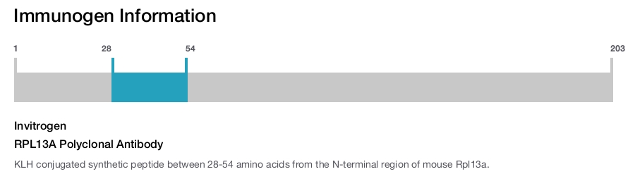 RPL13A Polyclonal Antibody