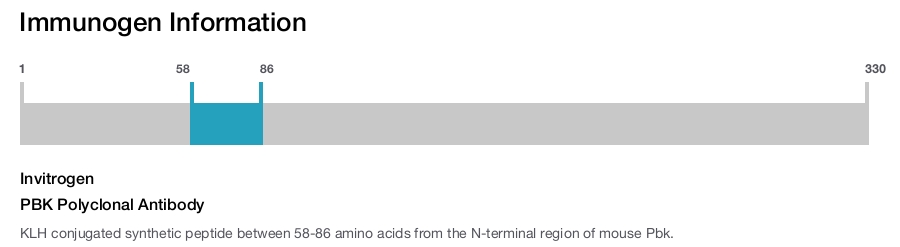 PBK Polyclonal Antibody