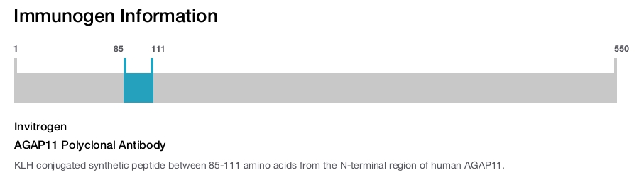 AGAP11 Polyclonal Antibody