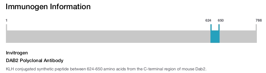 DAB2 Polyclonal Antibody