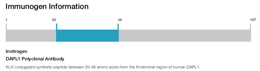 DAPL1 Polyclonal Antibody