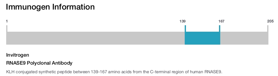 RNASE9 Polyclonal Antibody