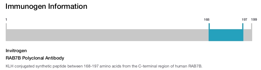 RAB7B Polyclonal Antibody