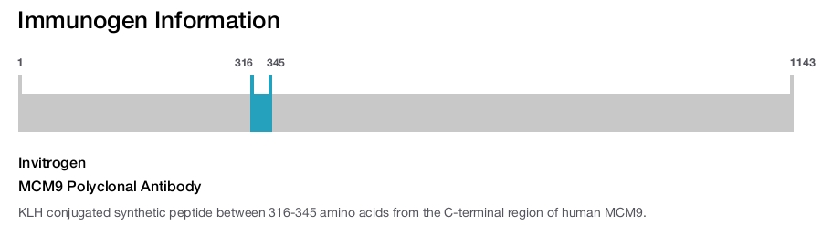 MCM9 Polyclonal Antibody