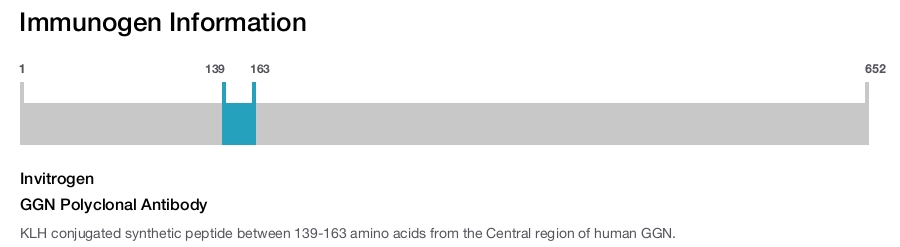 GGN Polyclonal Antibody