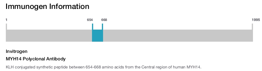 MYH14 Polyclonal Antibody