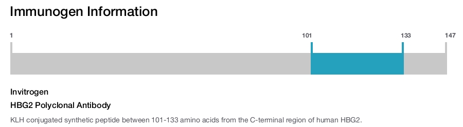 HBG2 Polyclonal Antibody
