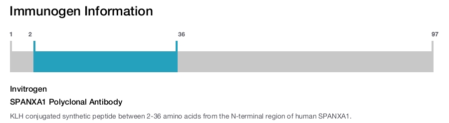 SPANXA1 Polyclonal Antibody