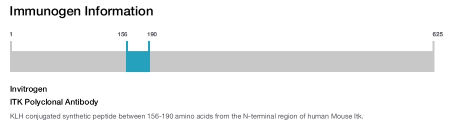 ITK Polyclonal Antibody