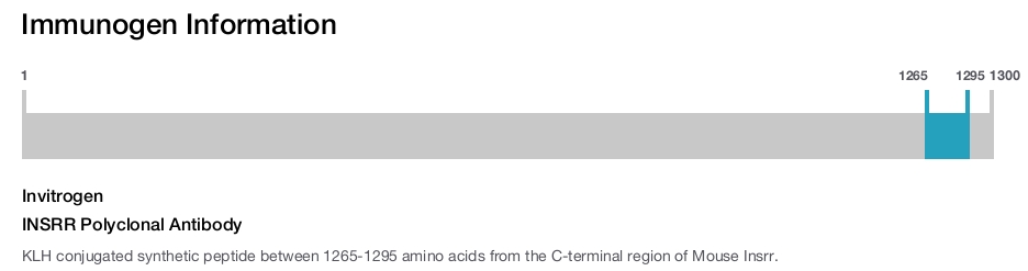 INSRR Polyclonal Antibody