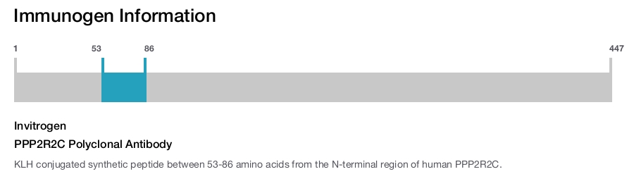 PPP2R2C Polyclonal Antibody