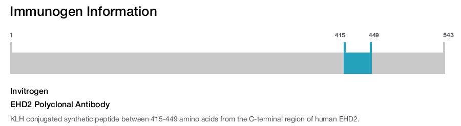 EHD2 Polyclonal Antibody