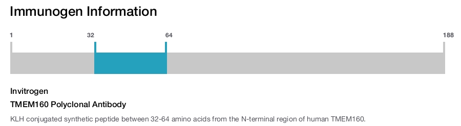 TMEM160 Polyclonal Antibody