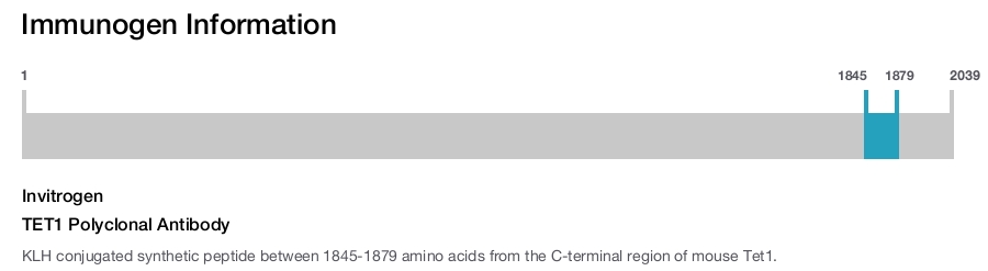 TET1 Polyclonal Antibody