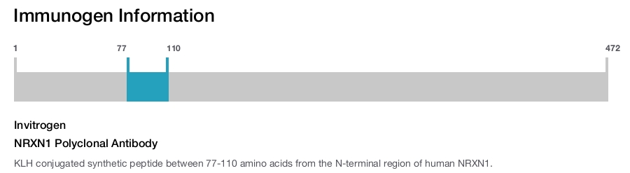 NRXN1 Polyclonal Antibody
