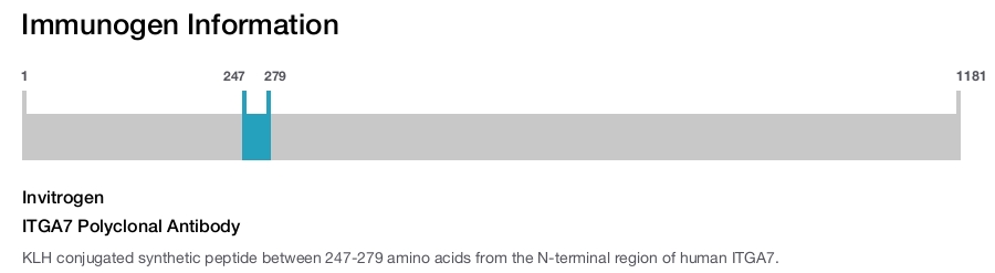 ITGA7 Polyclonal Antibody