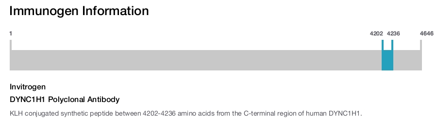 DYNC1H1 Polyclonal Antibody