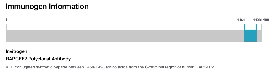 RAPGEF2 Polyclonal Antibody