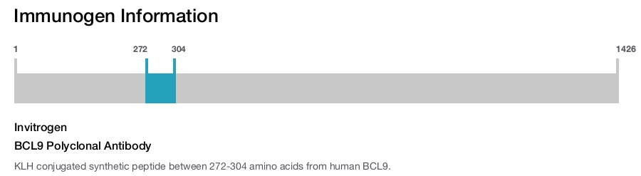 BCL9 Polyclonal Antibody