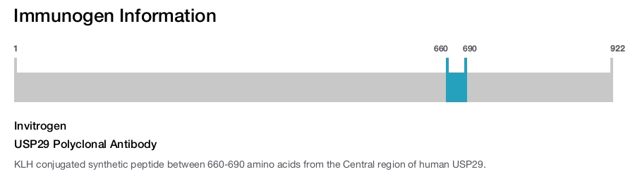 USP29 Polyclonal Antibody