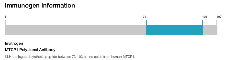 MTCP1 Polyclonal Antibody