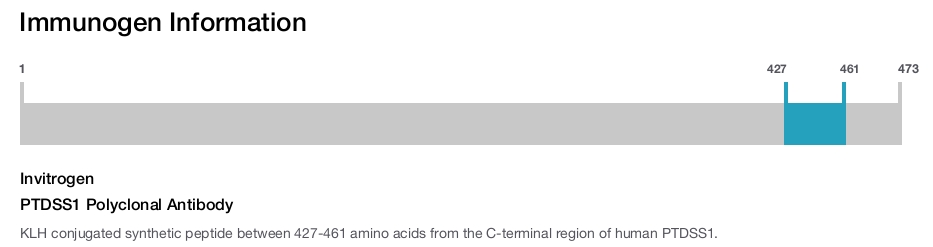 PTDSS1 Polyclonal Antibody