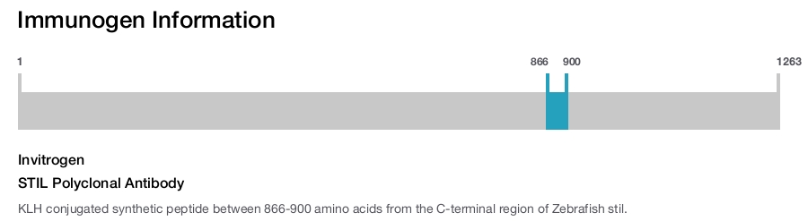 STIL Polyclonal Antibody
