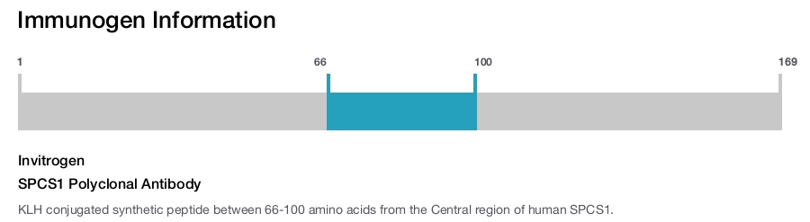 SPCS1 Polyclonal Antibody