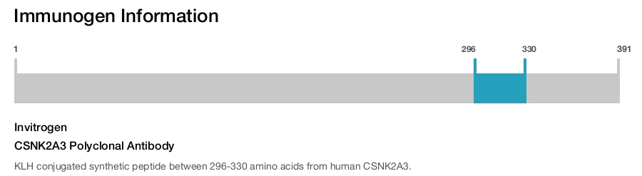 CSNK2A3 Polyclonal Antibody