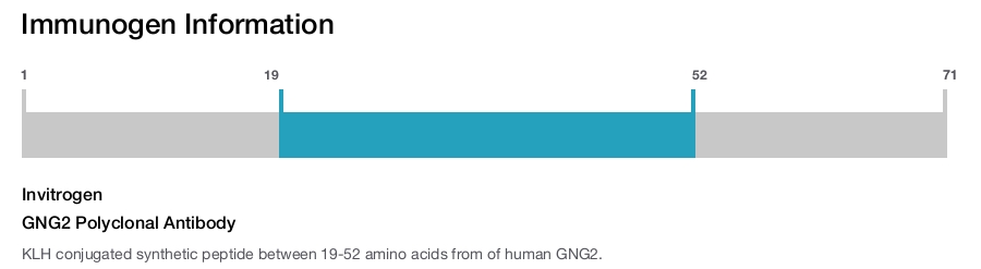 GNG2 Polyclonal Antibody