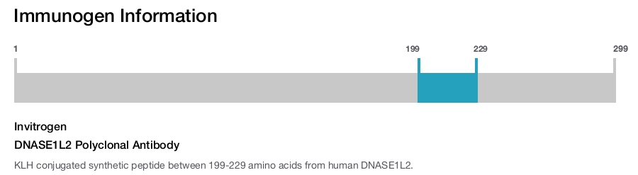 DNASE1L2 Polyclonal Antibody