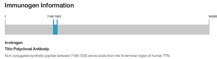 Titin Polyclonal Antibody