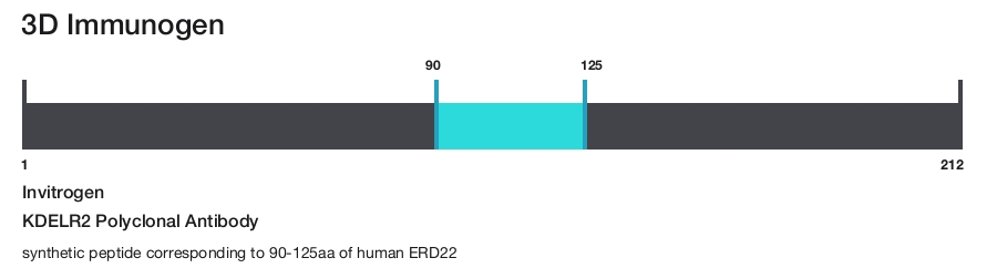 KDELR2 Polyclonal Antibody