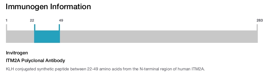 ITM2A Polyclonal Antibody