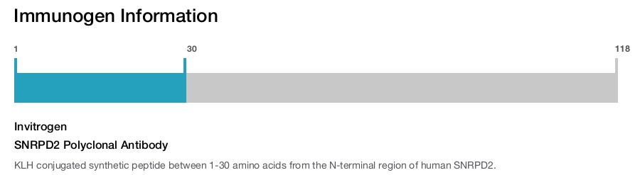 SNRPD2 Polyclonal Antibody