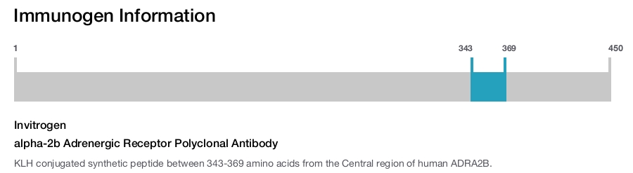 alpha-2b Adrenergic Receptor Polyclonal Antibody