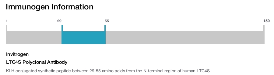LTC4S Polyclonal Antibody