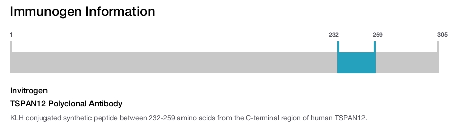 TSPAN12 Polyclonal Antibody