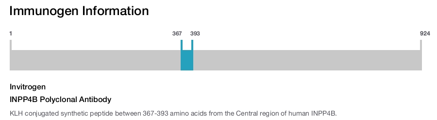 INPP4B Polyclonal Antibody