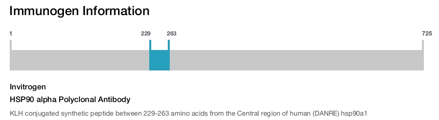 HSP90 alpha Polyclonal Antibody