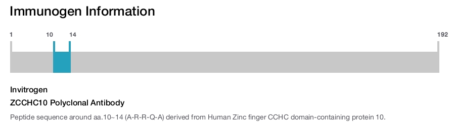 ZCCHC10 Polyclonal Antibody