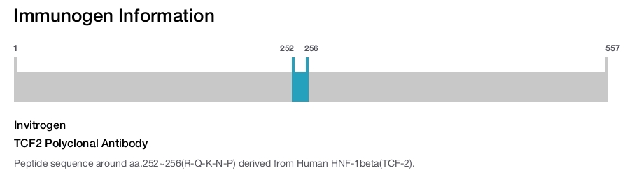 TCF2 Polyclonal Antibody