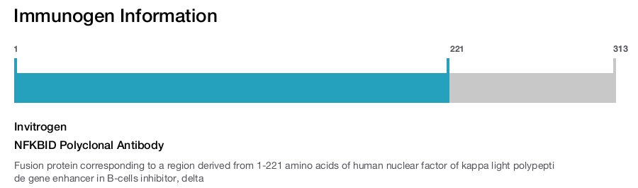 NFKBID Polyclonal Antibody
