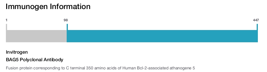 BAG5 Polyclonal Antibody