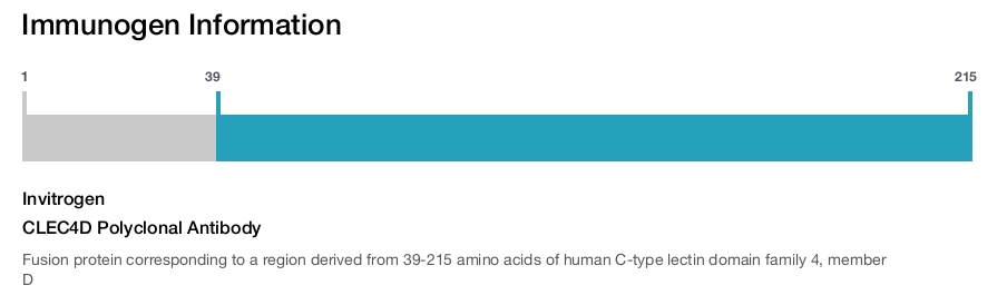 CLEC4D Polyclonal Antibody