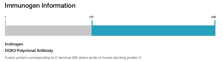 DOK3 Polyclonal Antibody