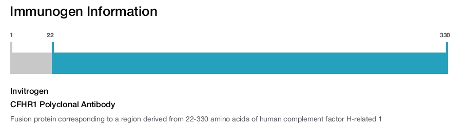 CFHR1 Polyclonal Antibody