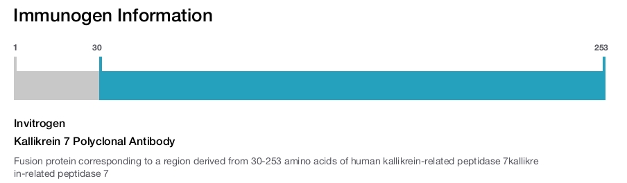 Kallikrein 7 Polyclonal Antibody